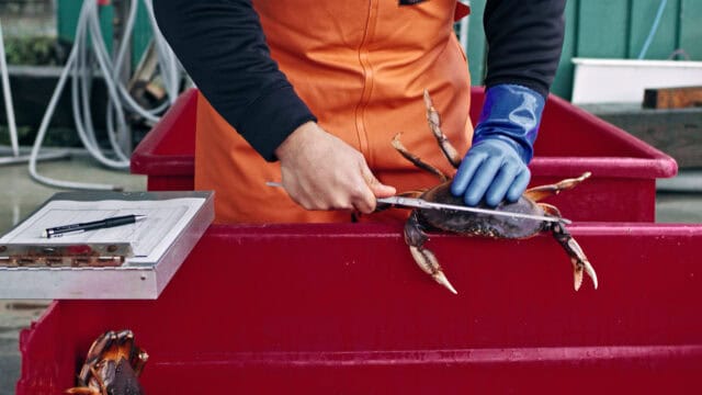 Alaskaseafood-sustainability-fishes-img